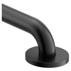 Moen Home Care Glacier 48" Concealed Screw Grab Bar
