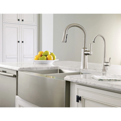 Etch Chrome One-Handle High Arc Pulldown Kitchen Faucet