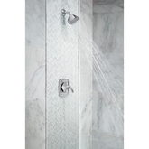Voss Chrome Moentrol(R) Shower only