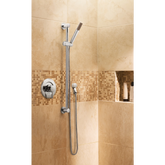 Moen Eco-Performance Handheld Shower