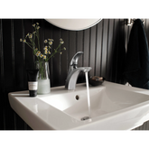 Zarina One-handle Bathroom Sink Faucet