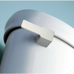 90 Degree Tank Lever