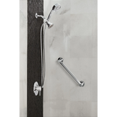 Align Moentrol(r) Valve Trim