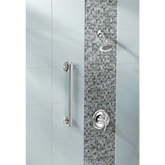 Iso 12" Grab Bar