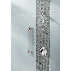 Iso 12" Grab Bar