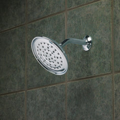 Vitalize One-Function 7" Diameter Spray Head Rainshower