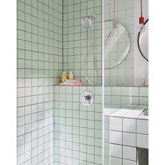 5" Handheld Showerhead with Infiniti Dial