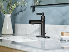 Aluma Matte black one-handle low arc bathroom faucet