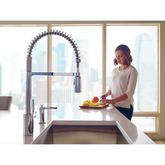 Align One-Handle Pre-Rinse Spring Pulldown Kitchen Faucet