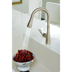 Arbor Chrome one-handle high arc pulldown single mount bar faucet