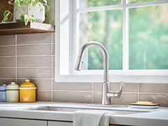 Ash Spot resist stainless one-handle high arc pulldown kitchen faucet