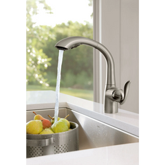 Arbor Chrome One-Handle High Arc Pullout Kitchen Faucet