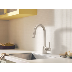 Chateau Spot resist stainless one-handle kitchen faucet
