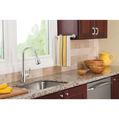 Arbor One-Handle High Arc Pulldown Kitchen Faucet