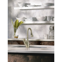 Medora Stainless one-handle high arc pulldown kitchen faucet