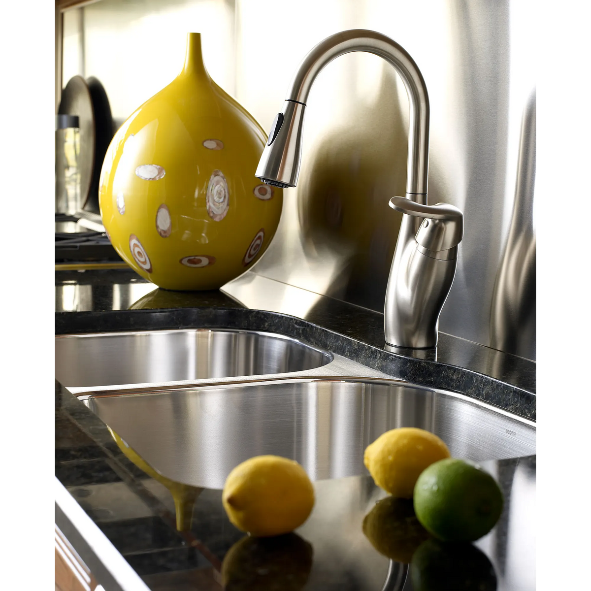 Medora Stainless one-handle high arc pulldown kitchen faucet