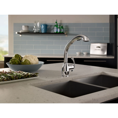 Neva Chrome one-handle high arc pullout kitchen faucet