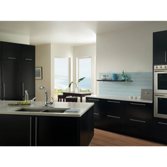 Neva Chrome one-handle high arc pullout kitchen faucet