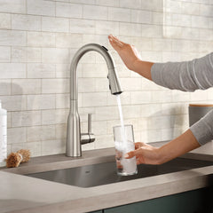 Zyla Smart Pulldown Touchless Kitchen Faucet