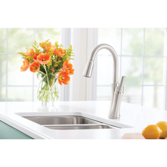 Benson Spot Resist Stainless One-Handle High Arc Pulldown Kitchen Faucet