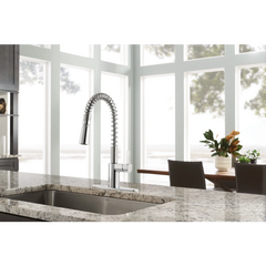 Irvine Chrome One-Handle High Arc Pulldown Kitchen Faucet