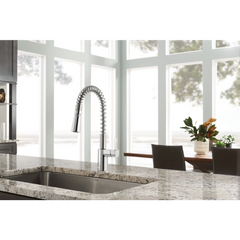 Irvine Chrome One-Handle High Arc Pulldown Kitchen Faucet