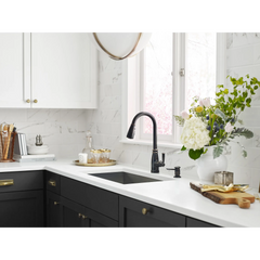 Morado One-Handle High Arc Pulldown Kitchen Faucet