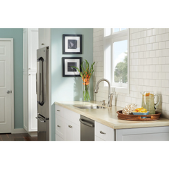 Russo Spot resist stainless one-handle high arc pulldown kitchen faucet