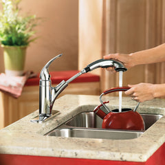 Caprillo Chrome one-handle low arc pullout kitchen faucet