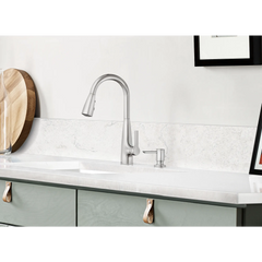 Haelyn One-Handle High Arc Pulldown Kitchen Faucet