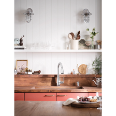 Haelyn One-Handle High Arc Pulldown Kitchen Faucet