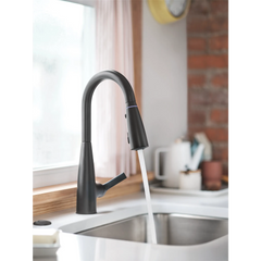Haelyn One-Handle High Arc Pulldown Kitchen Faucet With ColorCue®