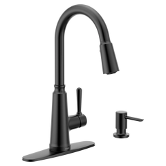Trew One-Handle High Arc Pulldown Kitchen Faucet