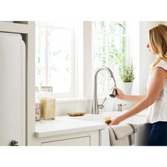 Lucira One-handle High Arc Pulldown Kitchen Faucet