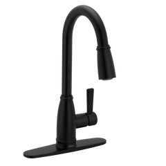 Lilibeth One-Handle High Arc Pulldown Kitchen Faucet