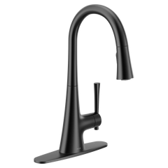 Kurv One-handle High Arc Pulldown Kitchen Faucet