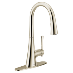 Kurv One-handle High Arc Pulldown Kitchen Faucet