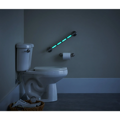 Banbury® 18" Glow-in-the-Dark Grab Bar Spot Resist™ Brushed Nickel