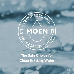 Cia MotionSense Wave One-Handle Pulldown Touchless Kitchen Faucet