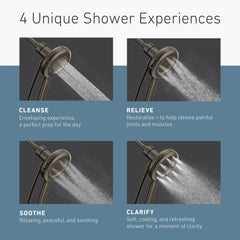 Moen Quattro Handheld Shower