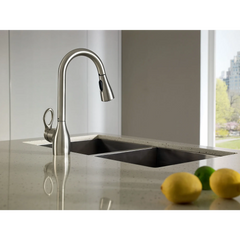 Kleo Classic stainless one-handle pulldown kitchen faucet