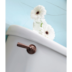 Sage Chrome Tank Lever