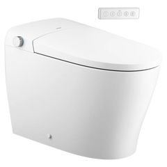 3-Series Electronic Cleansing Toilet