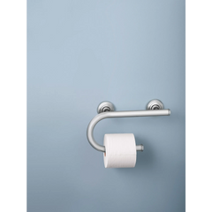 Chrome 8" Grab Bar with Toilet Paper Holder