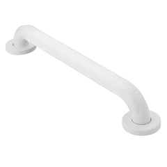 Moen Home Care Glacier 24" Concealed Screw Grab Bar