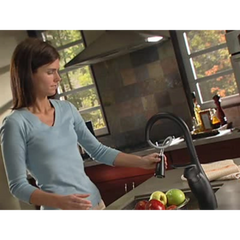 Medora Chrome one-handle high arc pulldown kitchen faucet