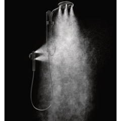 Moen Spa Shower Matte Black Two-Function 7.9" Diameter Spray Head Standard With Handshower
