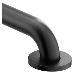 Moen Home Care 48" Concealed Screw Grab Bar