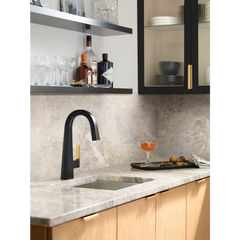 Nio One-Handle Pulldown Bar Faucet