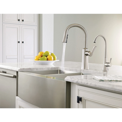Etch Chrome One-Handle High Arc Pulldown Kitchen Faucet